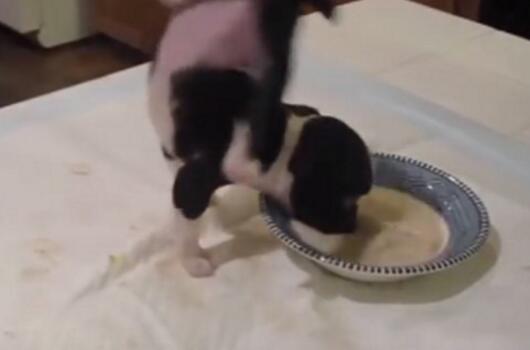 С�S�����ʩչ"�h����" �p�_�e�^(gu��)�^180���D(zhu��n)��Ȧ