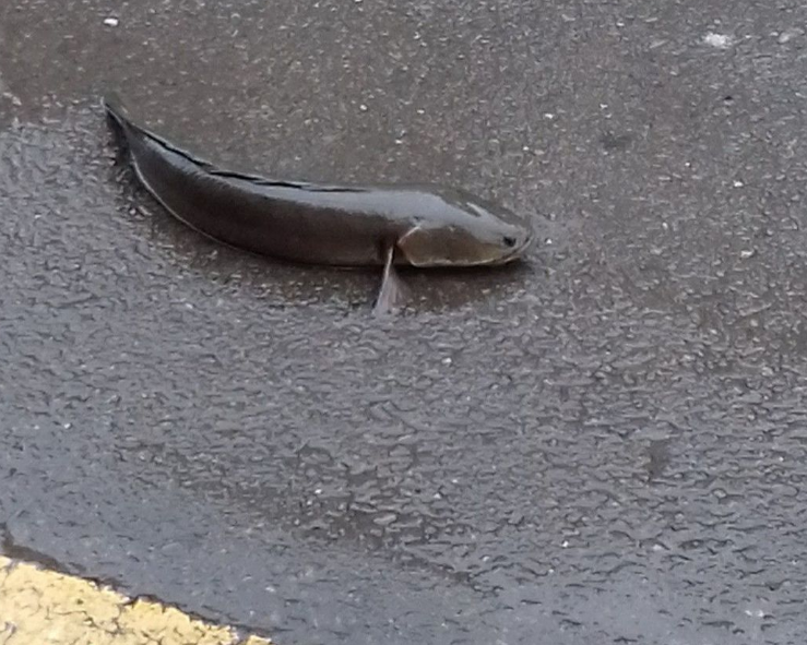 �������F(xi��n)�澰���~��·����ţ��ˮ�С�