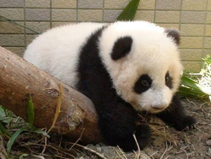 �A�о�����ײ�Ϙ�� �_(t��i)�W(w��ng)������Ҫ�o��������.jpg