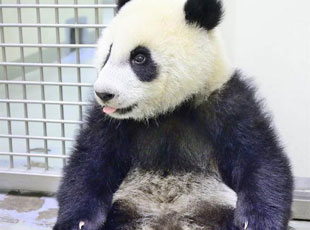 ����ϵ�A���L(zh��ng)����-С��΢ͻ�����냺�ʡ�