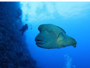 �_���m�Z�l������������ ���г����~Ƭ���¶�