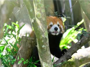 ����С��؈�g�g�_������ ��̎����ƨ�ɡ��u��