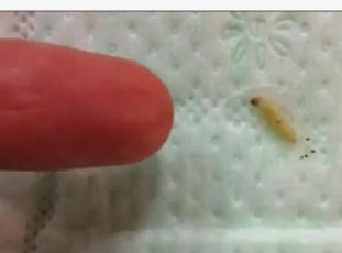 ֪��Ʒ���l(w��i)�����л��x��4�w��� �W(w��ng)�ч�����