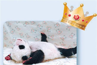 �_(t��i)����(d��ng)��@ӭ�ٚq ����؈���A�С��ɰ����˚���