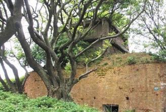 �҈@���ճ��_�l(f��)�֚�����(zh��n)�z�E �W�ߓ��n