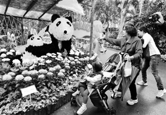 2014�_(t��i)���оջ�չ�_չ �ջ�ƴ�ɡ��A�A���͡��A�С�