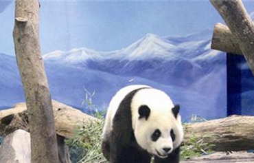 ��(d��)�������һ�� �_(t��i)������؈�����A�кܵ���