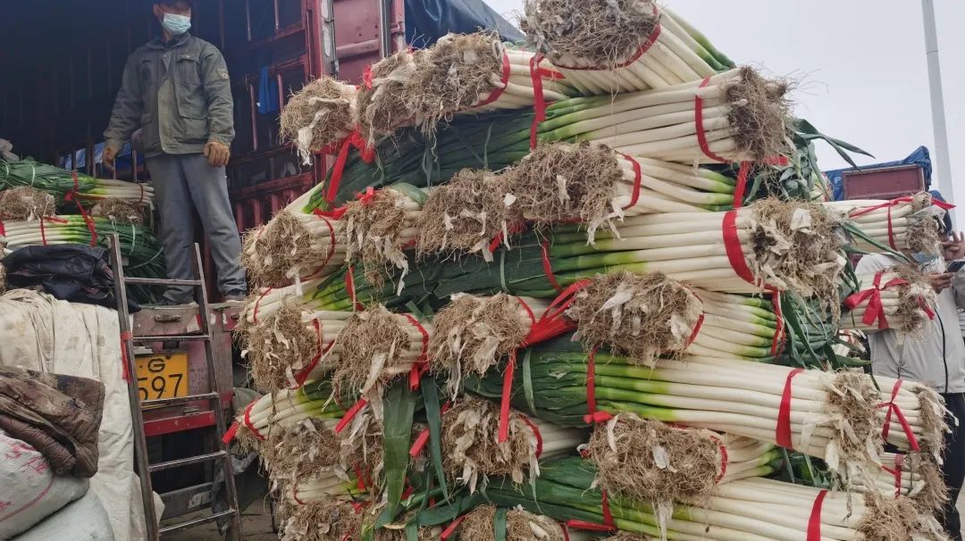 �����f�R�r�������°l(f��)���������������׶����˻@�ӡ�����(y��ng)����