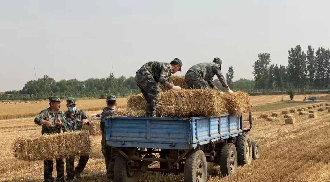 Ф˼�h��ĸ��ɶ͵͵�������������ǡ���