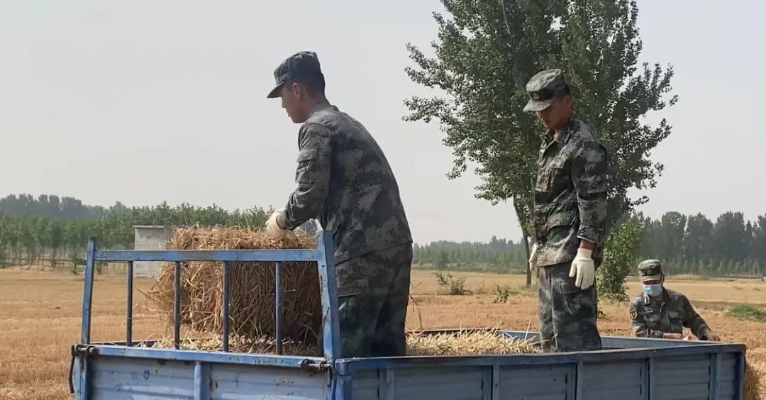 Ф˼�h��ĸ��ɶ͵͵�������������ǡ���