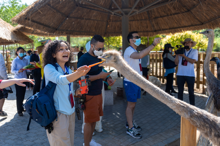 【中國(guó)有約】水沙一色沙湖美 流連忘返不思?xì)w