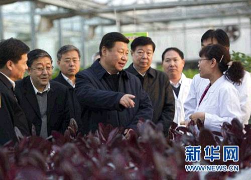 2013��11��27����������(x��)��ƽ��ɽ�|ʡ�r(n��ng)�I(y��)�ƌW(xu��)Ժ���ܻ������˽��r(n��ng)�I(y��)�Ƽ���(chu��ng)����r�� ���A��ӛ���x�h(hu��n)�Y �z