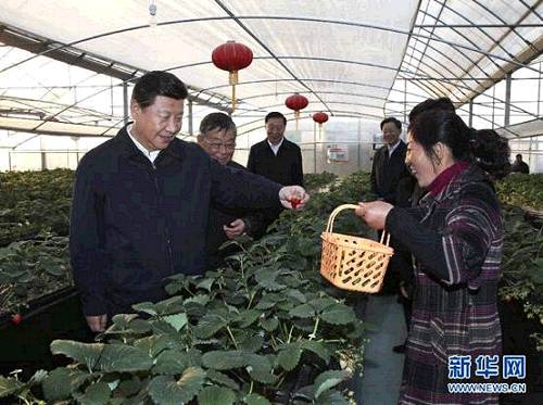 2014��12��13����������(x��)��ƽ���(zh��n)���е�ͽ�^(q��)���I(y��)�(zh��n)���h���r(n��ng)�I(y��)�@��ݮ���������ز쿴��ݮ���L��r�����A��ӛ�� �m�t�� �z