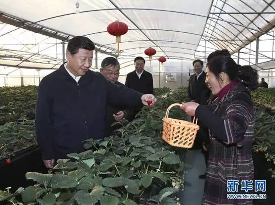 ��ƽ�Z(y��)�����ˡ�����(x��)��ƽ�ġ����r(n��ng)�^��