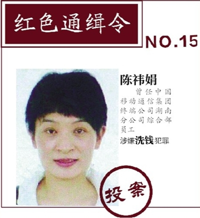 “百名紅通人員”已有20人歸案 其中8人系被勸返