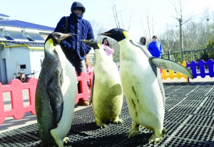 �������u���֙C�Ԅ��P�C ���Z�����̫�(�D)