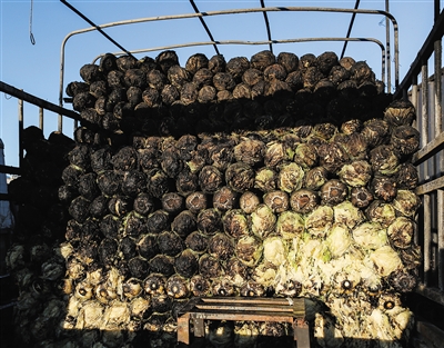 ��܇�ײ˱����������¾���(b��o)ӛ�� ������ �z