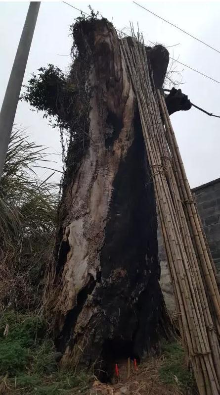 ����(j��ng)�ą��������ֻ���ݺڵĘ��