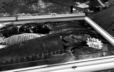      2��16�����~�չʾ����������һ���Sɫ�����r�����ڹP�֌����m�~�^498Ԫ/���