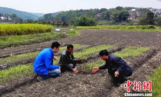 ���벿ί�نT�����l(xi��ng)�����h֧����һ��ӛ���M�Ϸ�ؚ��