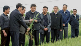 ��(x��)��ƽ����С�������؜��Ї�(gu��)�ĸ�v��