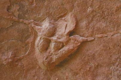 ���������Ŀ������E��