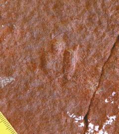 ��С�Ŀ������E��