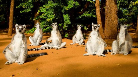 ���ϳ���3400�f��ǰ��ʯ ���`�L��M���P(gu��n)�I�A��