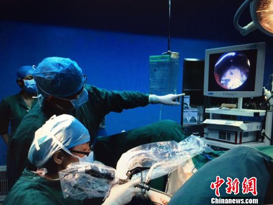 �㽭��ϣ��֮�⡱�o(j��)�������˲��³��������t(y��)���ջ�