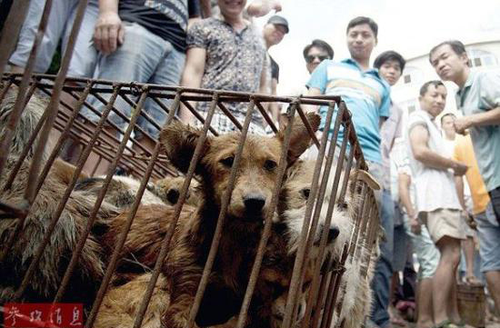 ��ý�۽��Ї��l(xi��ng)�g���¶�������(ch��ng)��Ѫ�Ȳ���ֱҕ