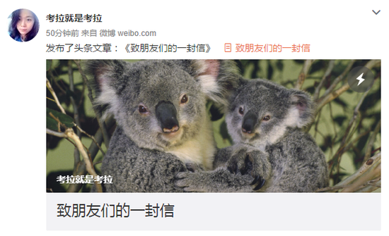 美女考拉揭“人權律師”黑幕:成為他人棋子 美女考拉揭“人權律師”黑幕:成為他人棋子