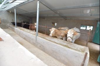 ��(x��)����ӛ��ԭ�С����ߺ��µ��L��·