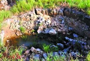 ������F(xi��n)���ݵ���r��