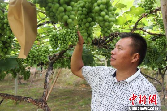 貴州:金融“長(zhǎng)板”補(bǔ)三農(nóng)“短板”激活扶貧春水
