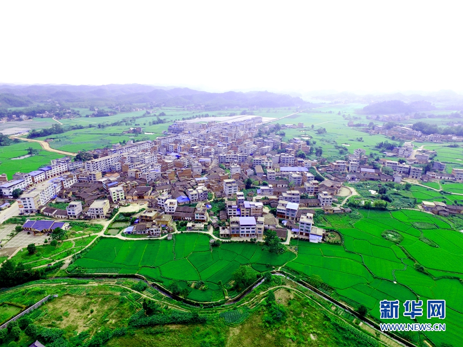 �����L�����l(f��)�ظ����������tɫ����н������ ���������ƵZǰ��