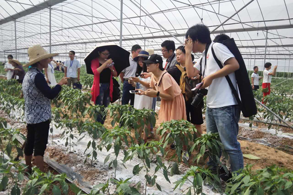 【網(wǎng)絡(luò)媒體走轉(zhuǎn)改】用腳采訪 用筆還原 網(wǎng)媒們的“表情包”