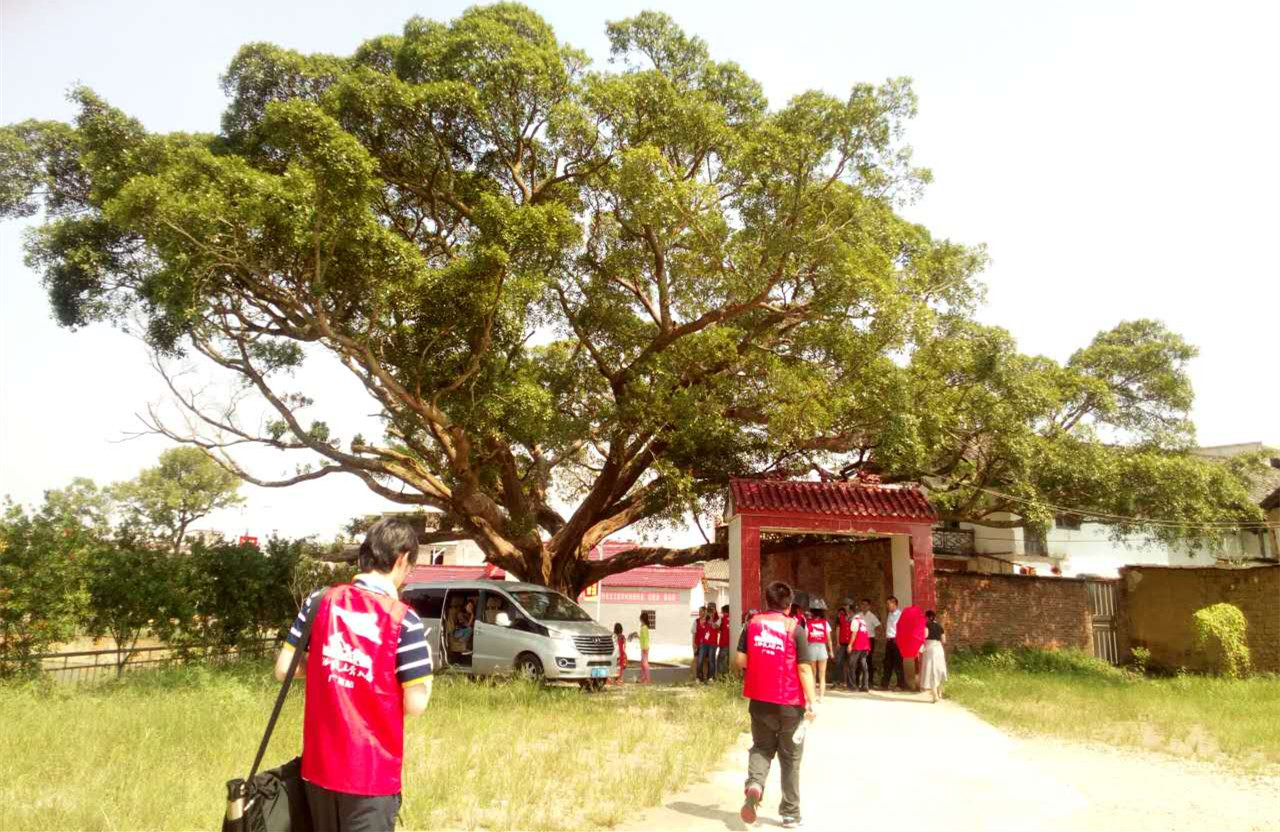 ���W(w��ng)�j(lu��)ý�w���D(zhu��n)�ġ����Ř����o(h��)�µ�������Դ������ޟ�(zh��n)���Ĵ�