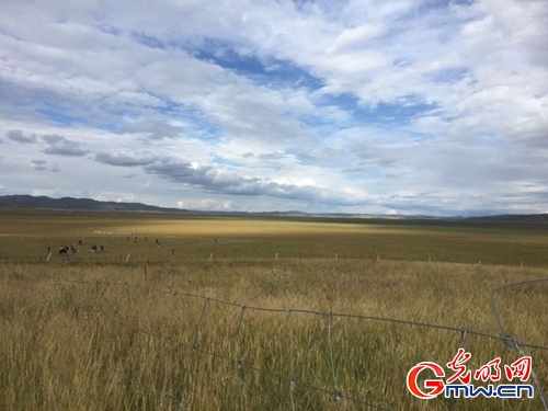 ���W(w��ng)�j(lu��)ý�w���D(zhu��n)�ġ������L���D�U�� �_���صء��Ҹ�����