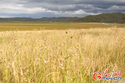 ���W(w��ng)�j(lu��)ý�w���D(zhu��n)�ġ������L���D�U�� �_���صء��Ҹ�����