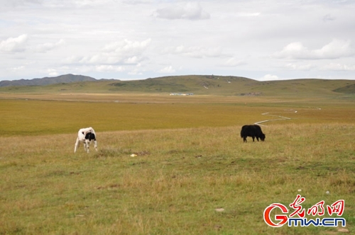 ���W(w��ng)�j(lu��)ý�w���D(zhu��n)�ġ������L���D�U�� �_���صء��Ҹ�����