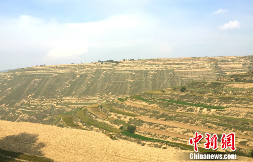 ��·���Ե����������¾W(w��ng) �N�� �z