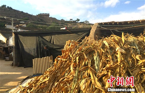 ����Ƽ�ҵ�Ժ��һ�ǡ����¾W(w��ng) �N�� �z