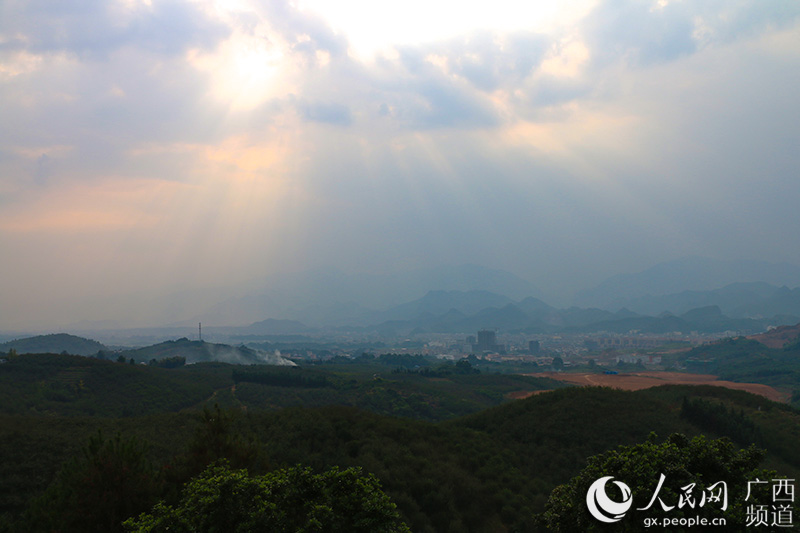 ���ʴ��r�I(y��)ʾ���^(q��)�B�ꖿh��