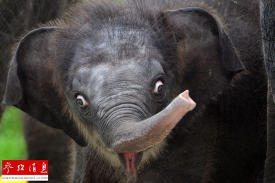 �Ї��ˌ�����Ƥ�������� ���遆����������