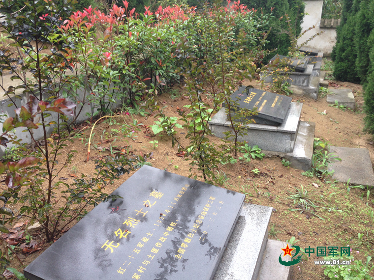 ���W(w��ng)�j(lu��)ý�w���D(zhu��n)�ġ��������ˣ�׌�t25܊��ʿ���ؼҡ���