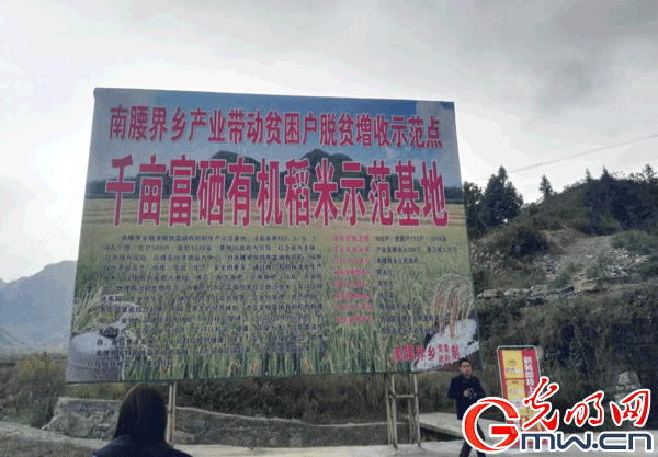 【網(wǎng)絡(luò)媒體走轉(zhuǎn)改】重慶酉陽:紅色土地上的綠色發(fā)展