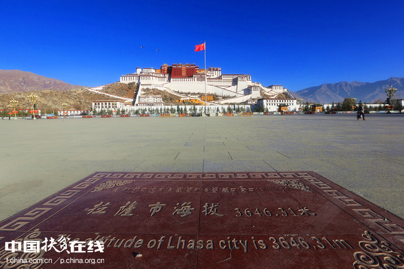 [��������]�_(d��)�οh���ܿh:�����h�P(y��ng)(�M�D)