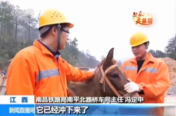 ǰ�����ע�����������@����������@������Ҫײ������