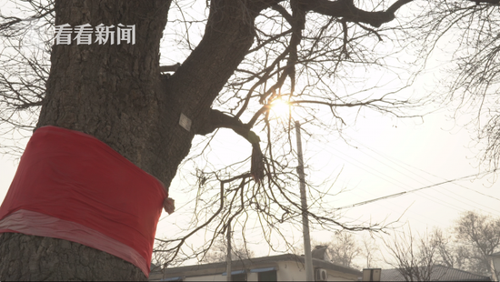 ���T�ڵ��ϻ���