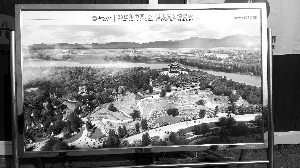 ���@��(hu��)Ч���D